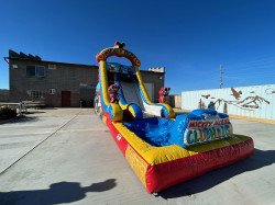 20ft Mickey Mouse Dualwaterslide