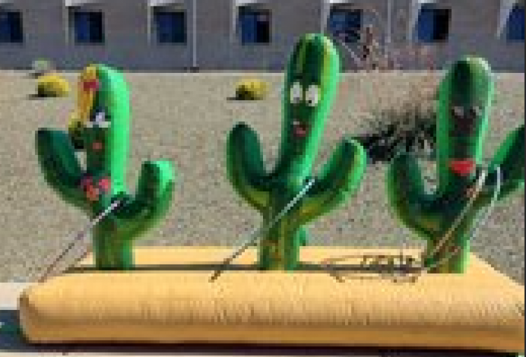 Cactus RingToss