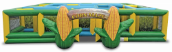 Corn Maze