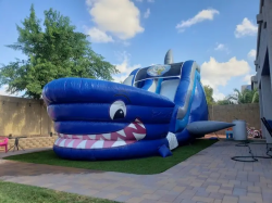 18ft Shark Tank Water Slide