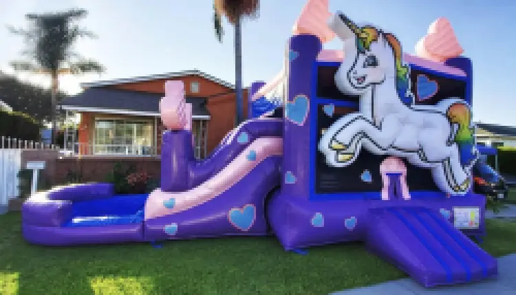 Unicorn Water Combo with Side Slide - Wet