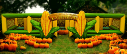 corn maze rentals 1596125728 Corn Maze