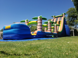 22ft Tropical Rush Dual Lane Water Slide