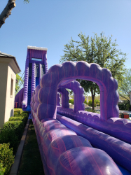 40ft Purple Monster Dual Lane Water Slide
